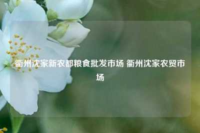 衢州沈家新农都粮食批发市场 衢州沈家农贸市场