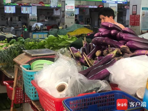 全生物降解塑料制品成本高推广难 海口农贸市场背心保鲜袋成替代品