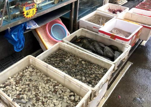 高明这25个农贸市场食品安全量化分级复审结果出炉