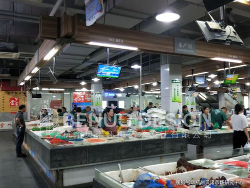 小菜场 大文章 这家农贸市场凭什么上了央视直播