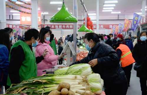 龙鳞路精品农贸惠民市场落成典礼隆重启幕