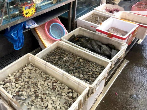 高明将整治10个集贸市场,分别涉及这些区域