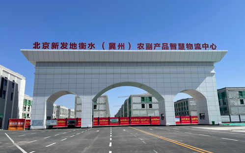 衡水新闻网