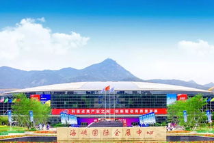 网链科技城市精细化治理系列产品亮相618展会，衢州农贸城备受瞩目