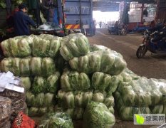 2025年浙江土豆求购信息及最新价格分析 - 珍汇选衢州农贸城动态