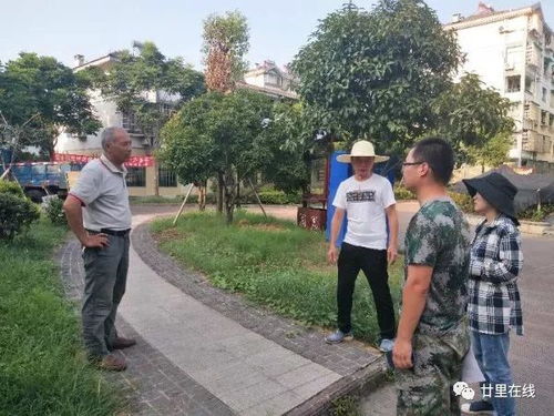 廿里创建全国文明城市的第一份答卷 衢州农贸城的华丽蝶变